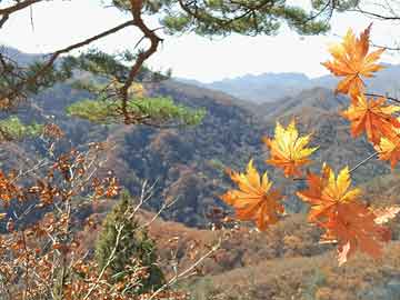 米非司酮私人微信号美国3年期国债中标收益率低于发行前交易水平