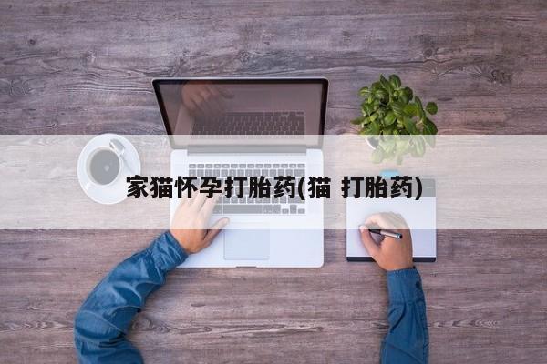米非司酮私人微信号家猫怀孕打胎药(猫 打胎药)